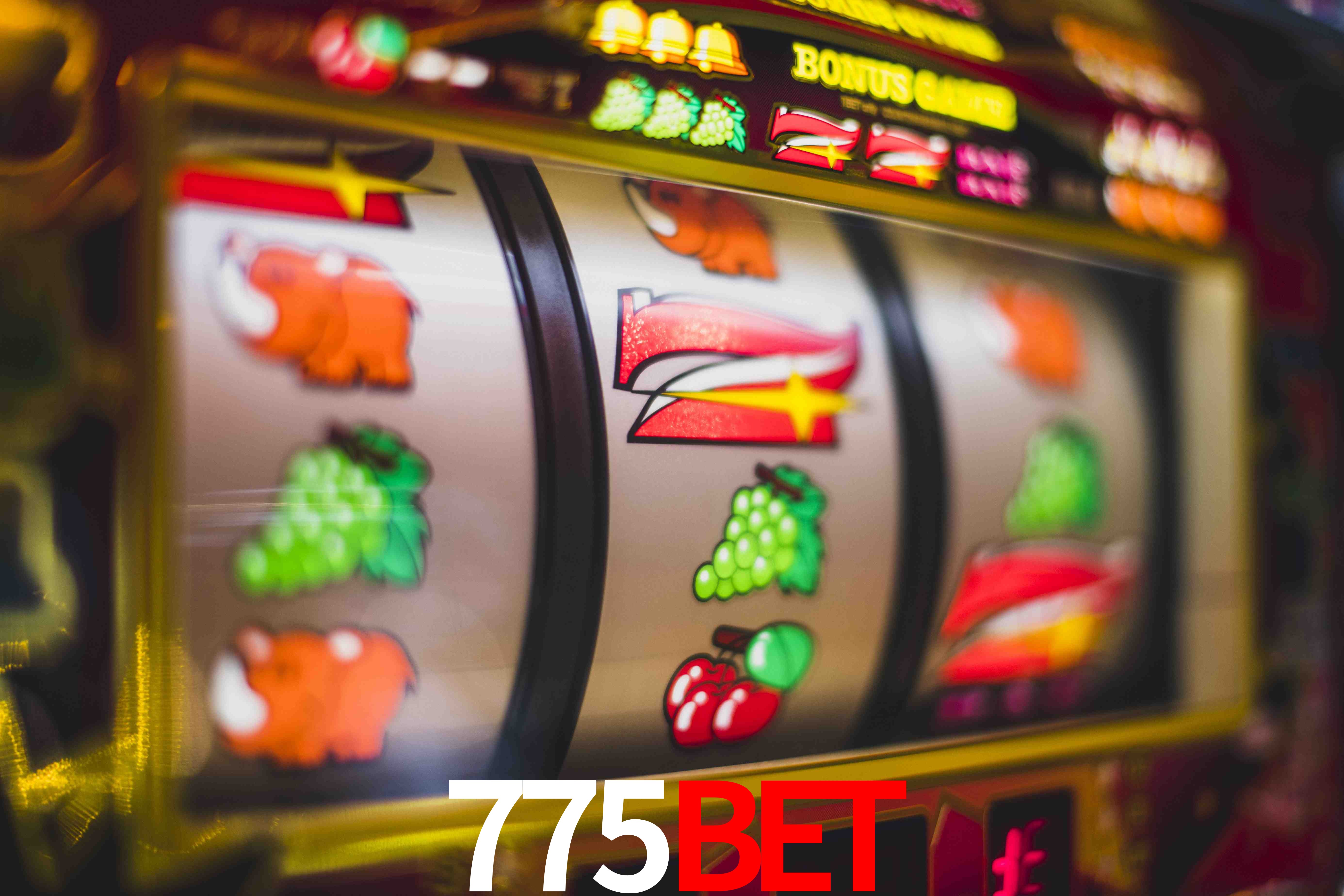 Crash Games Strategies 775bet